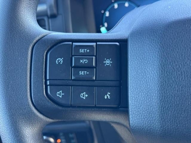 2025 Ford F-150 STX®