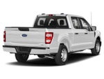 2023 Ford F-150 XL Rattler