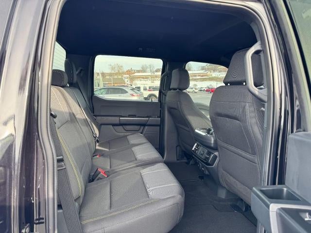 2025 Ford F-150 STX®