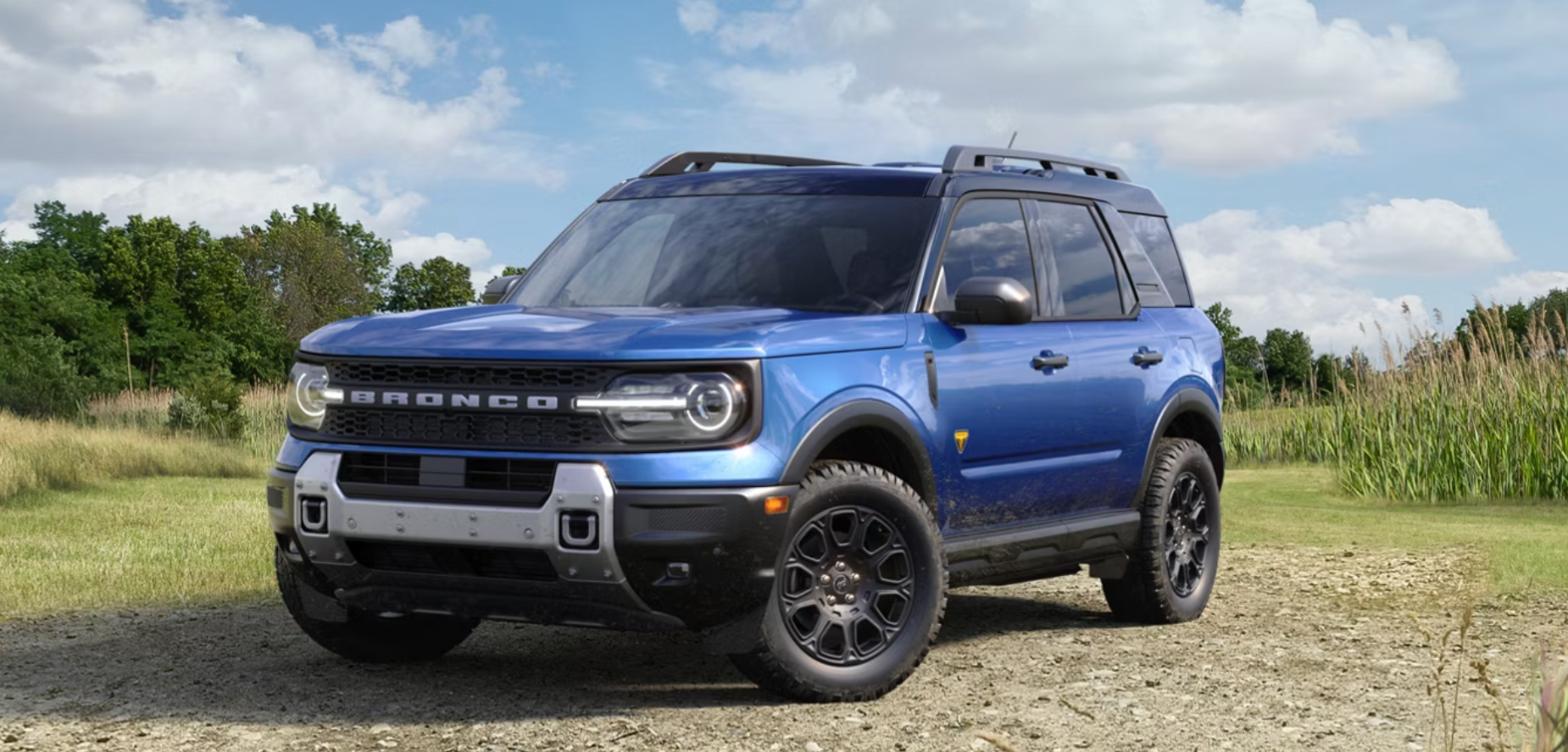 Blue Ford Bronco Sport SUV parked in grassy field with trees and blue sky.